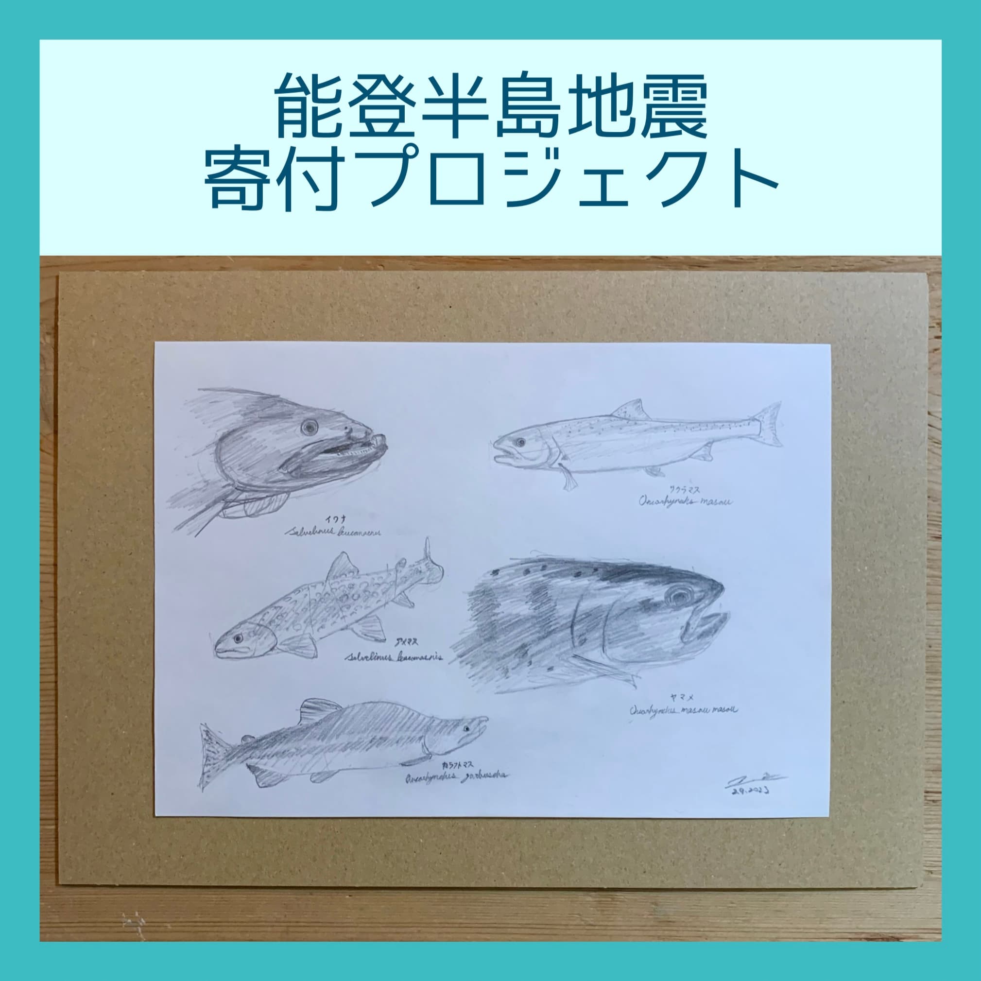 【能登半島寄付プロジェクト】一般社団法人OPEN JAPAN様に寄付いたしました